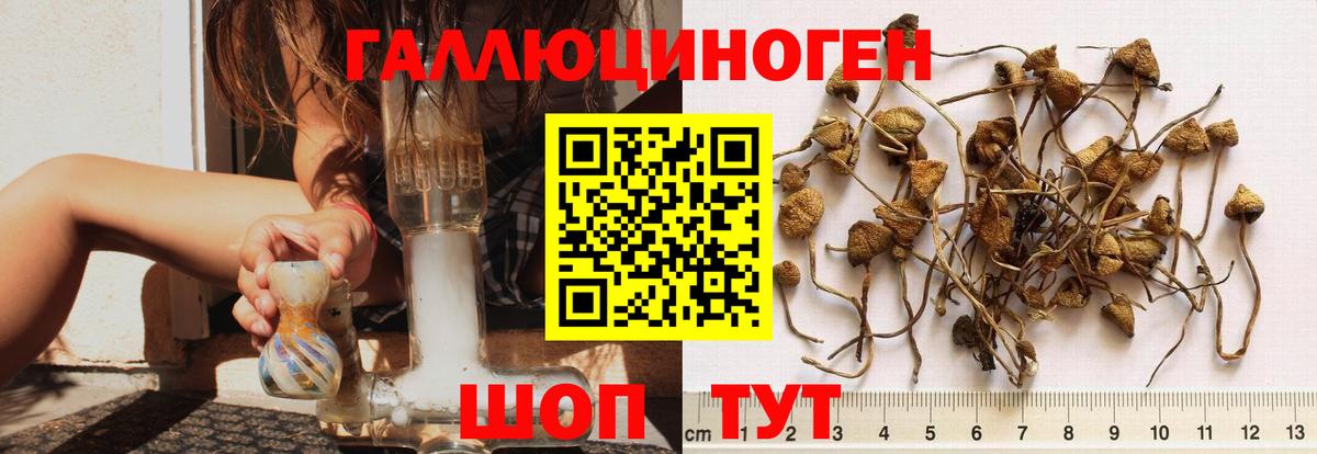Люберцы  Псилоцибиновые грибы GOLDEN TEACHER  Вход с VPN  Галлюциногенные грибы Magic Shrooms 