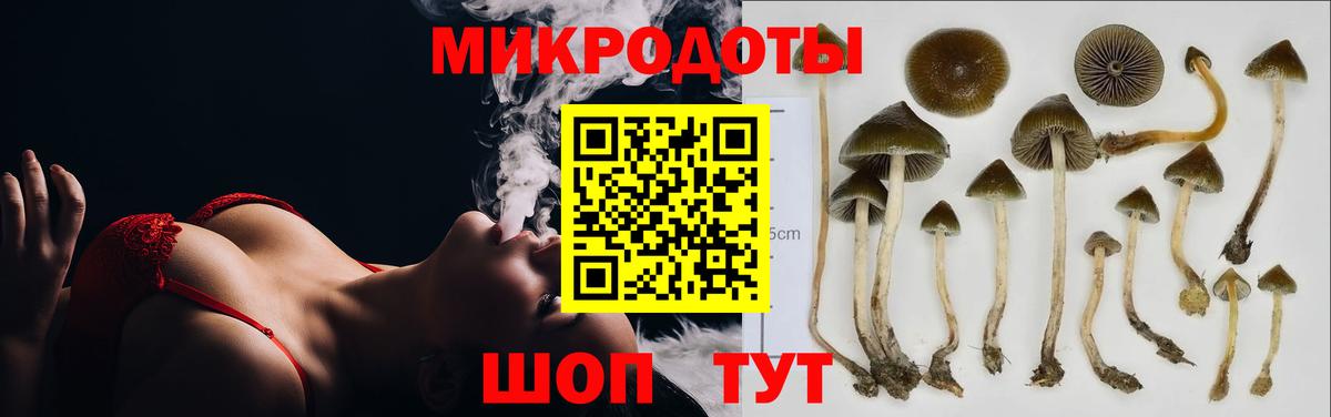 Галлюциногенные грибы прущие грибы Люберцы